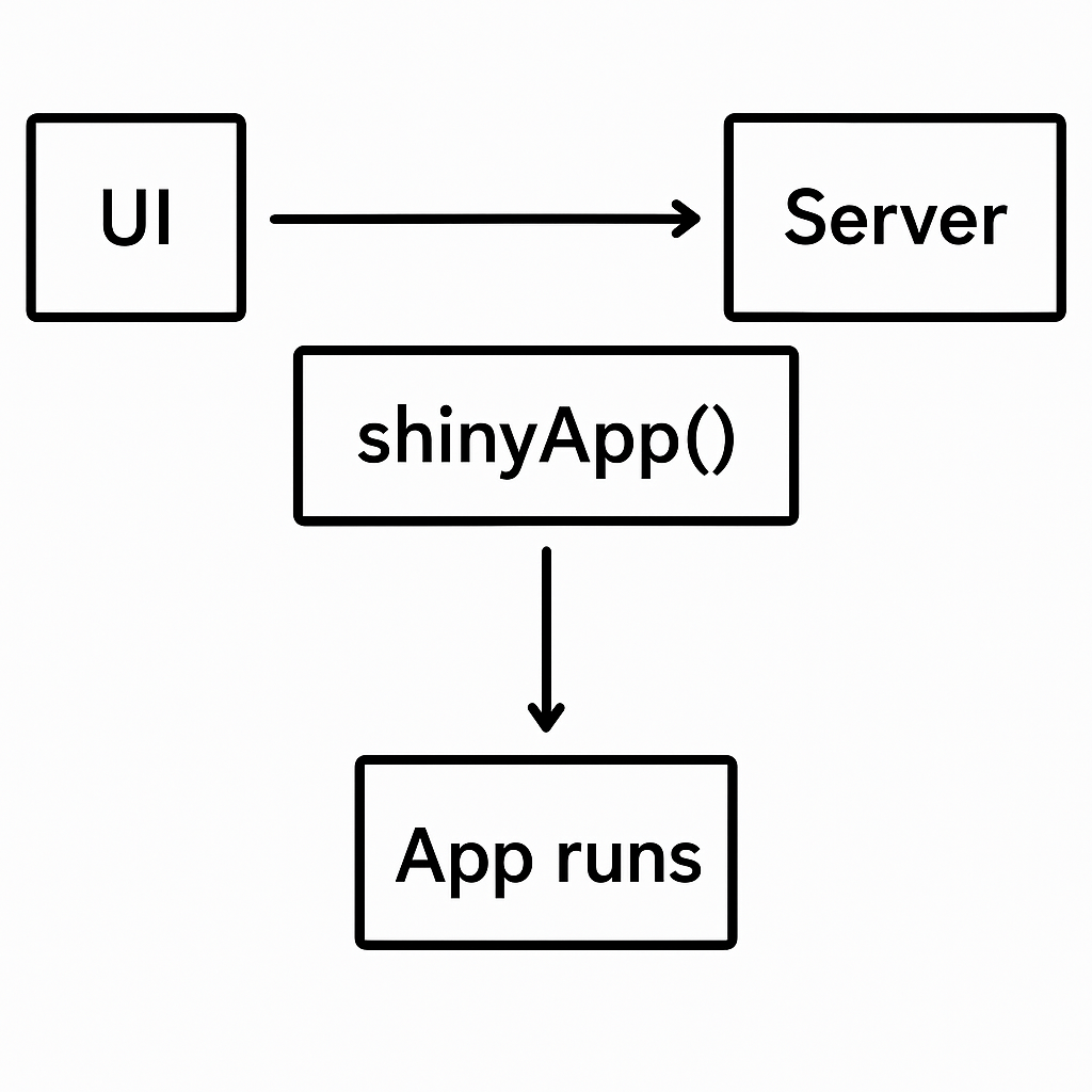 Visual representation of shinyApp function workflow