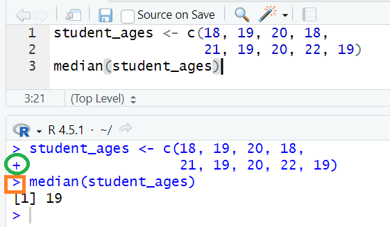 R-console Input and Output Distinction